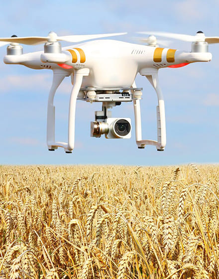 Роль дронов в мониторинге посевов и контроле урожая