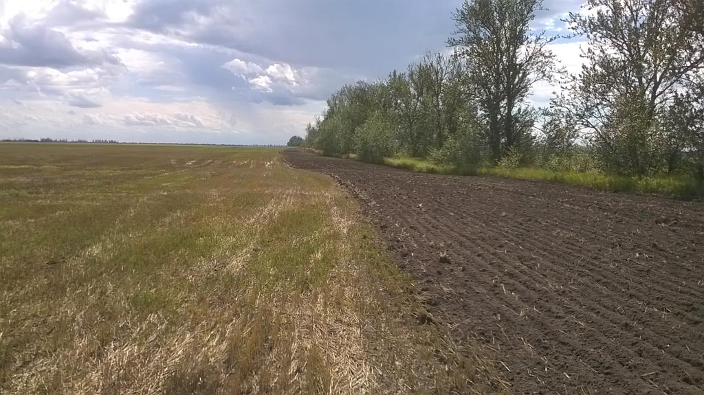 Демонстрация Fendt 1050