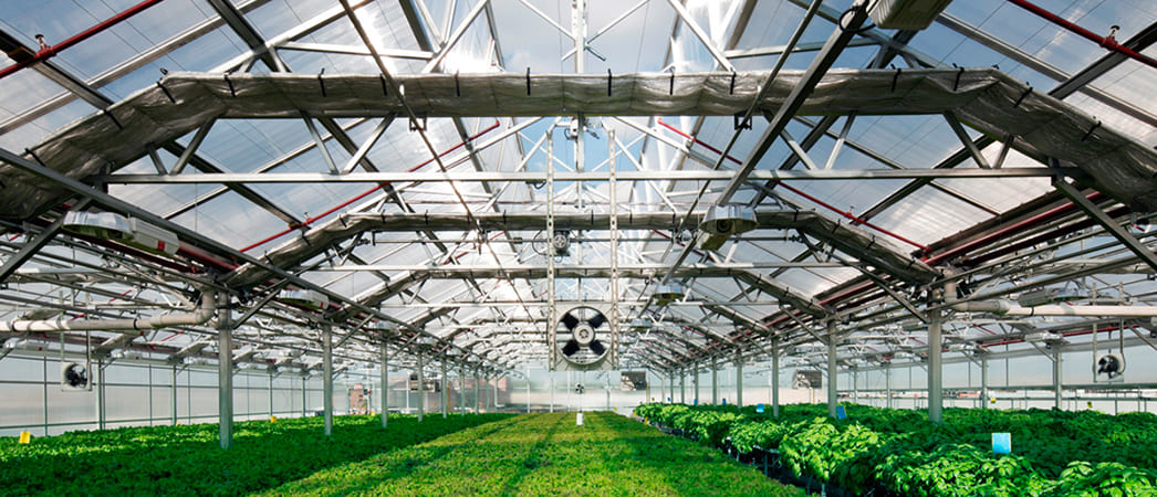 Энергосберегающая теплица