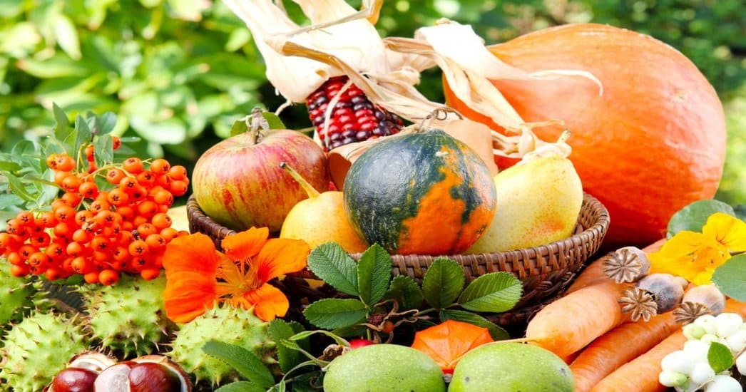Сельскохозяйственная продукция