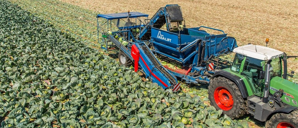 Полунавесной капустоуборочный комбайн Asa-Lift