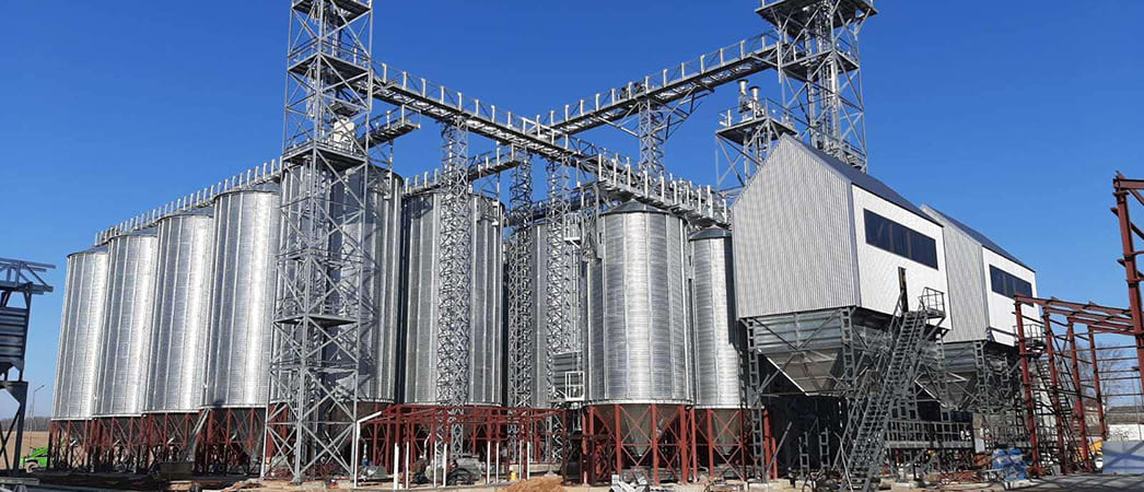 Семенные линии ЛПЗС