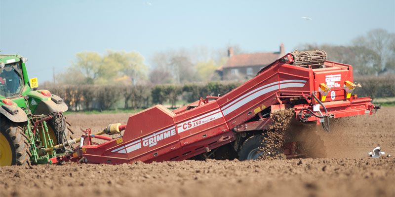 Фото Камнесепаратор Grimme CS 150