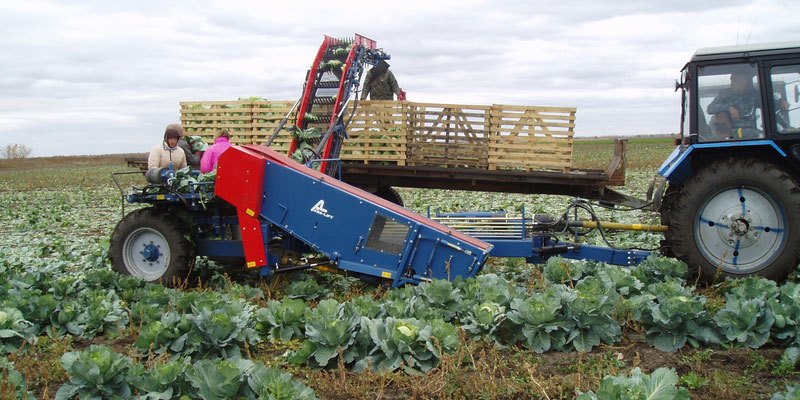 Фото Полунавесной капустоуборочный комбайн Asa-Lift TK
