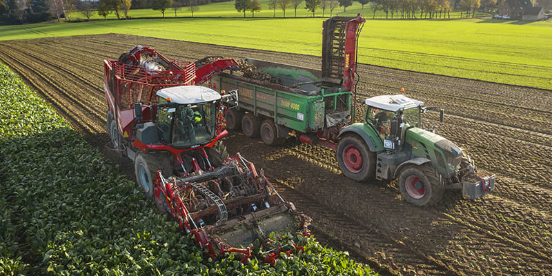 Фото Grimme REXOR 6300 / 6300 Platinum