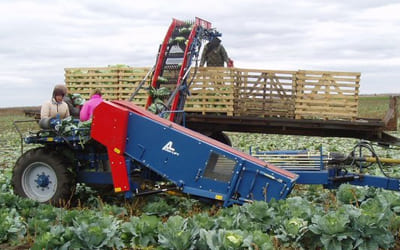 Полунавесной капустоуборочный комбайн Asa-Lift TK