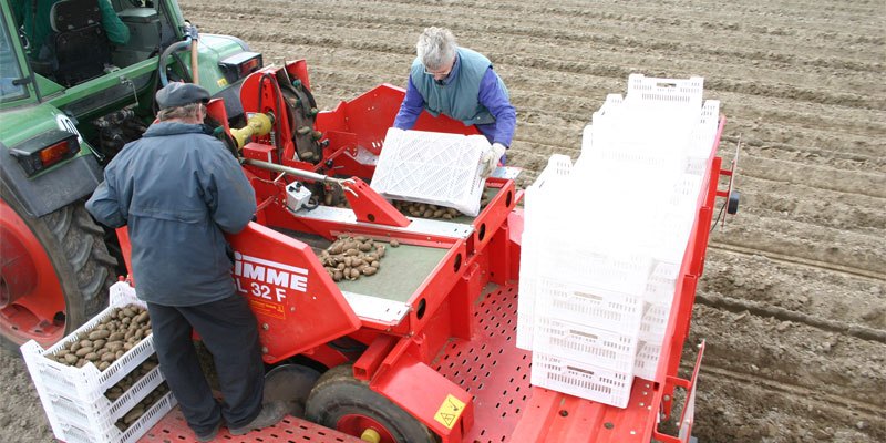 Фото Grimme GL 32 F