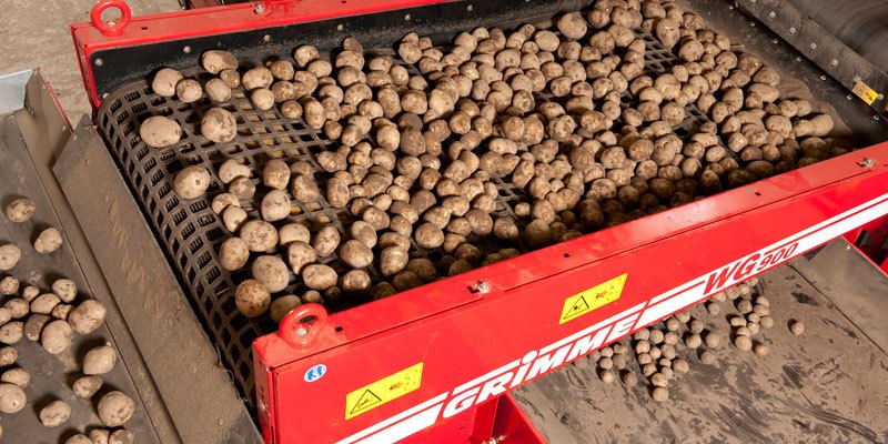 Фото Grimme WG 900