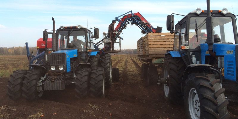 Фото Навесные морковоуборочные комбайны Asa-Lift CM