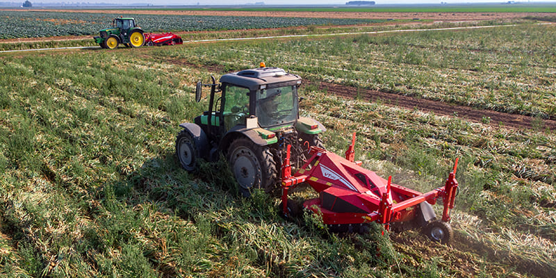 Фото Ботвоудалители для лука Grimme VT