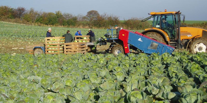 Фото Навесной капустоуборочный комбайн Asa-Lift MK