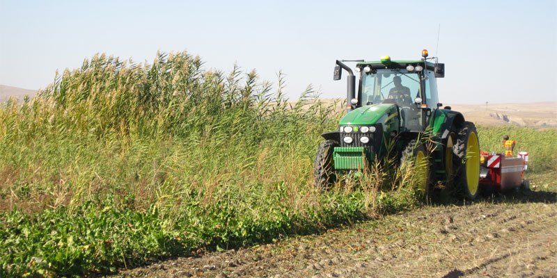Фото Ботвоудалитель Grimme BM 300