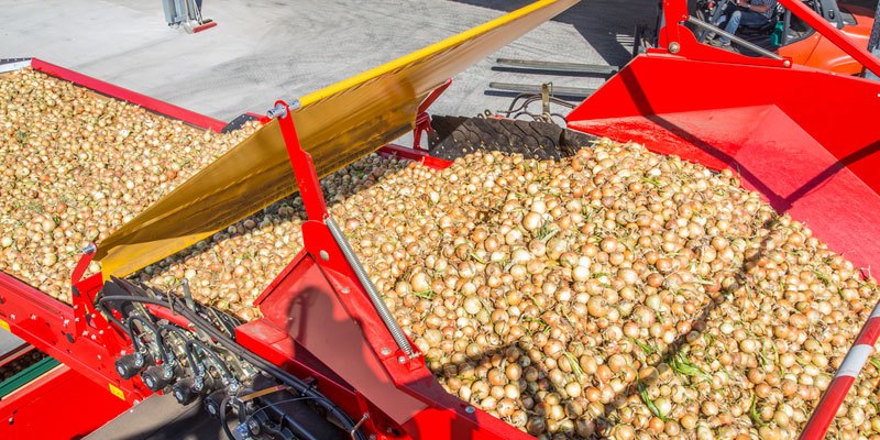 Фото Grimme RH 20 E / RH 20 / RH 24 / RH 28