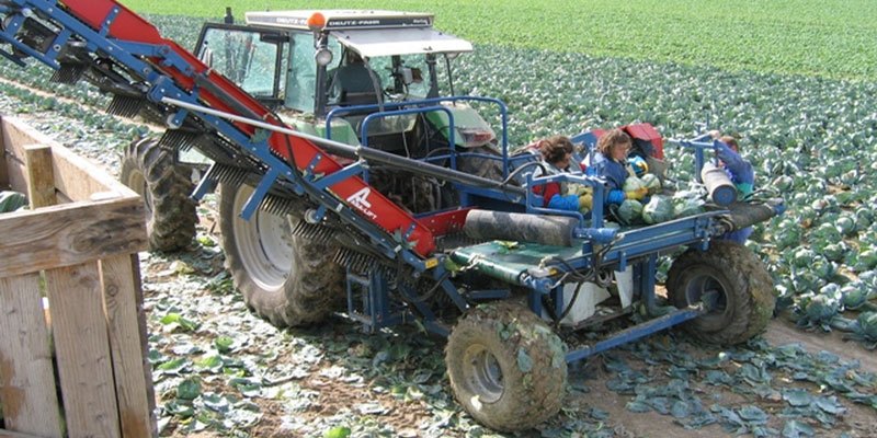 Фото Навесной капустоуборочный комбайн Asa-Lift MK