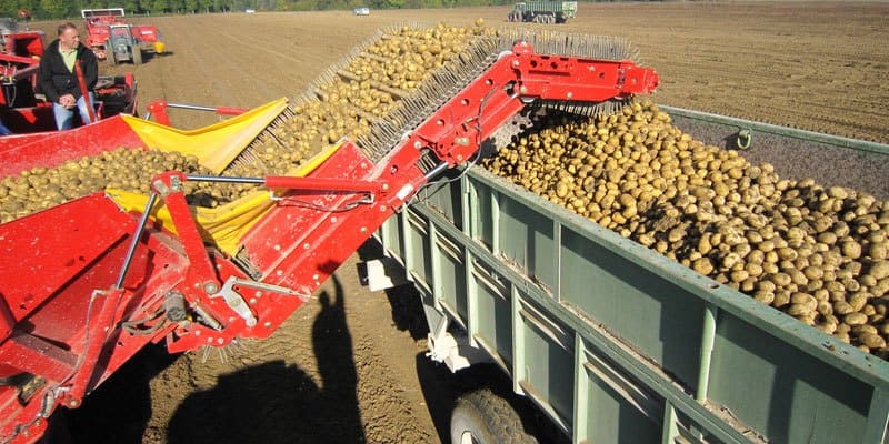 Фото Grimme SE 150-60