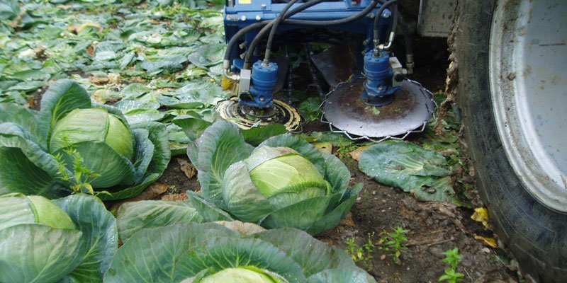 Фото Навесной капустоуборочный комбайн Asa-Lift MK