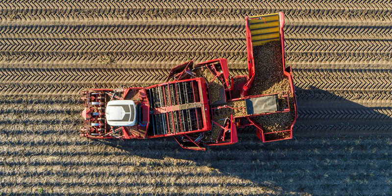 Фото Картофелеуборочный комбайн Grimme Ventor 4150