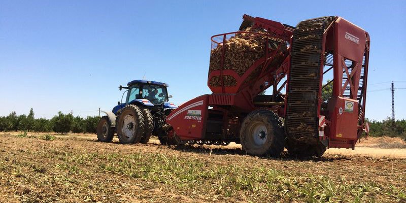 Фото Grimme Rootster 604