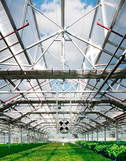 Строительство современной энергосберегающей теплицы под Минском