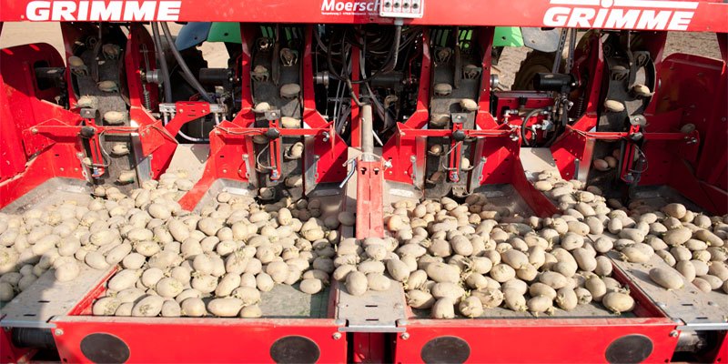 Фото Grimme GL 420