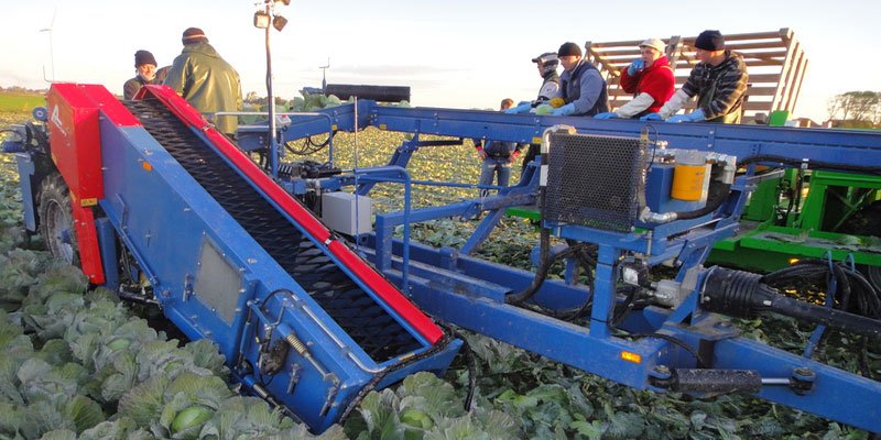 Фото Полунавесной капустоуборочный комбайн Asa-Lift TK