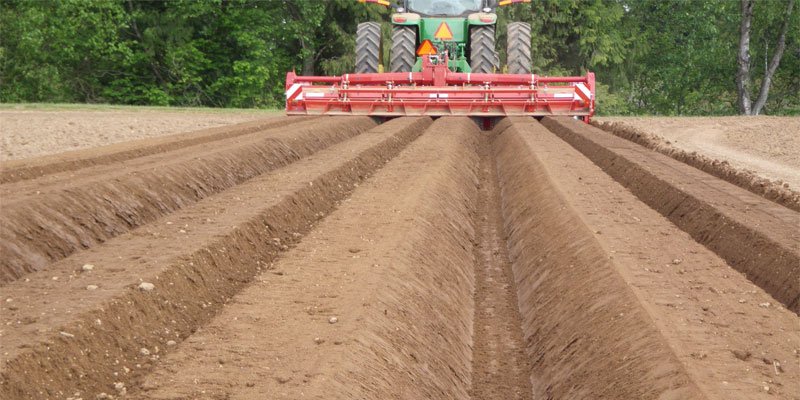 Фото Grimme GF 600