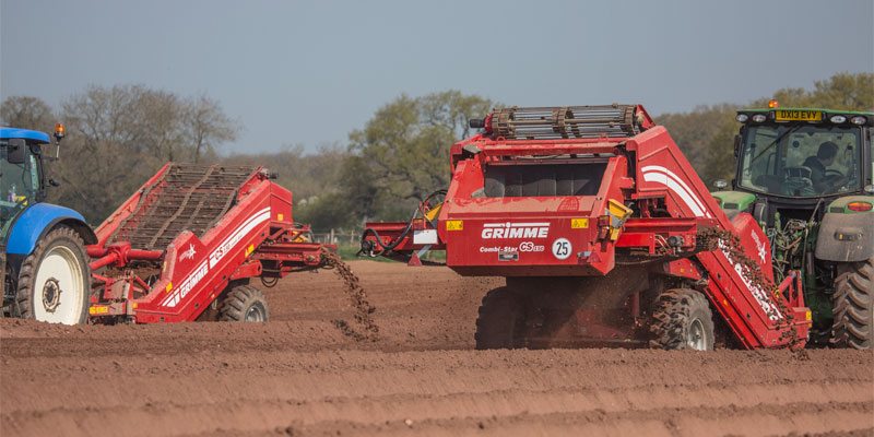Фото Камнесепаратор Grimme CS 150