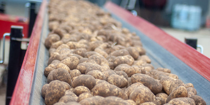 Фото Grimme SC 800