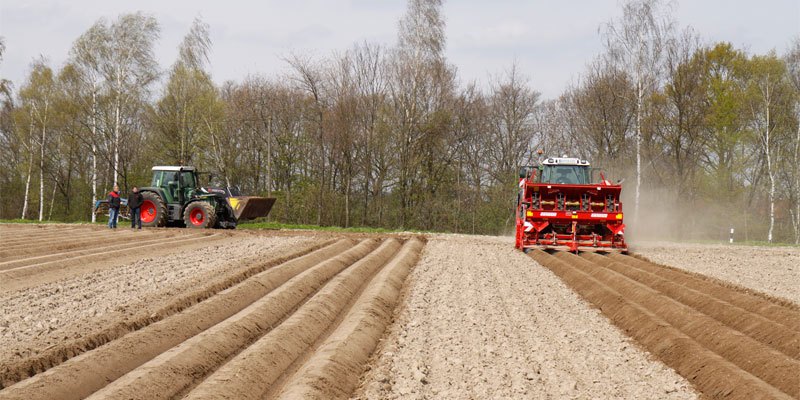 Фото Grimme GL 420 Exacta