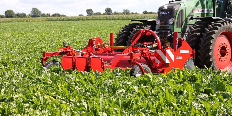 Фото Ботвоудалитель Grimme FT 300