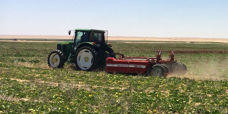 Фото Ботвоудалитель Grimme BM 300