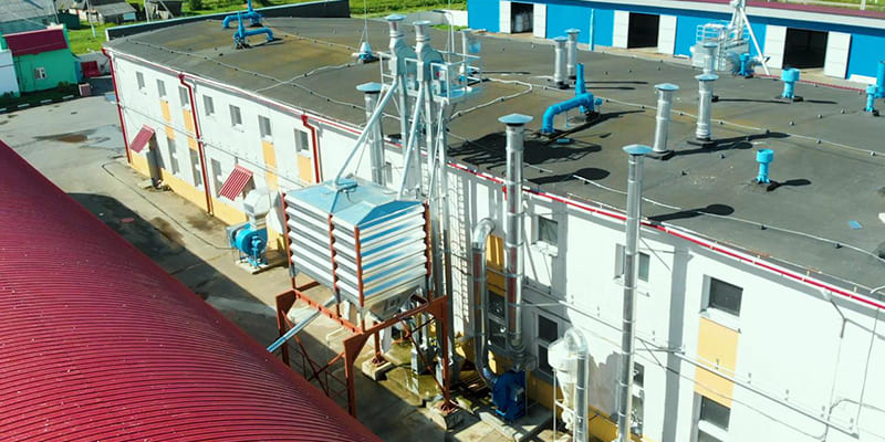 Фото Семенные линии ЛПЗС