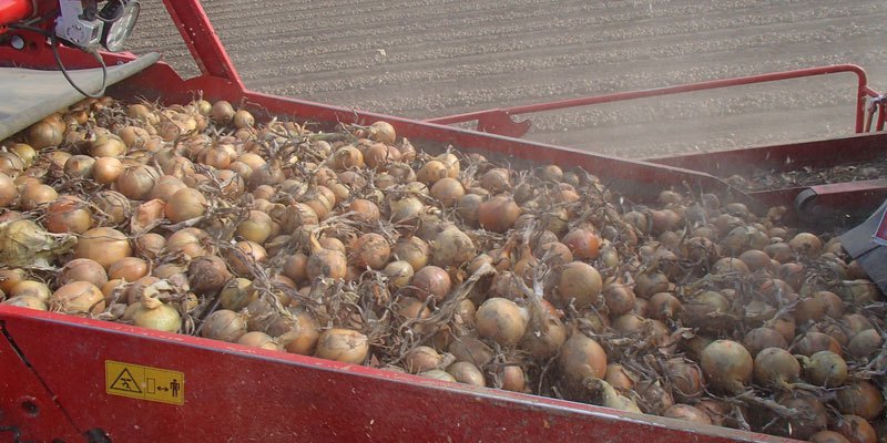 Фото Grimme SE 150-60