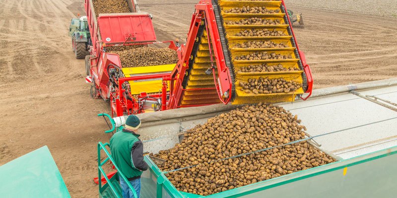 Фото Grimme RH 20 Combi / RH 24 Combi