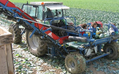 Навесной капустоуборочный комбайн Asa-Lift MK