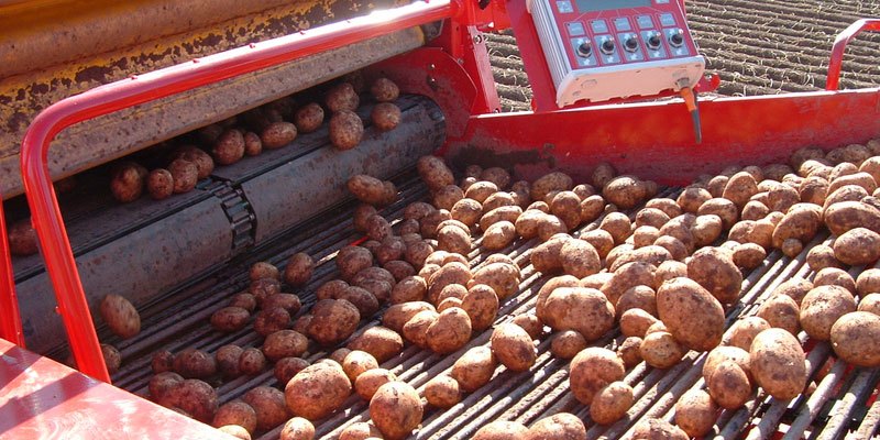 Фото VARITRON 220 Platinum TERRA TRAC