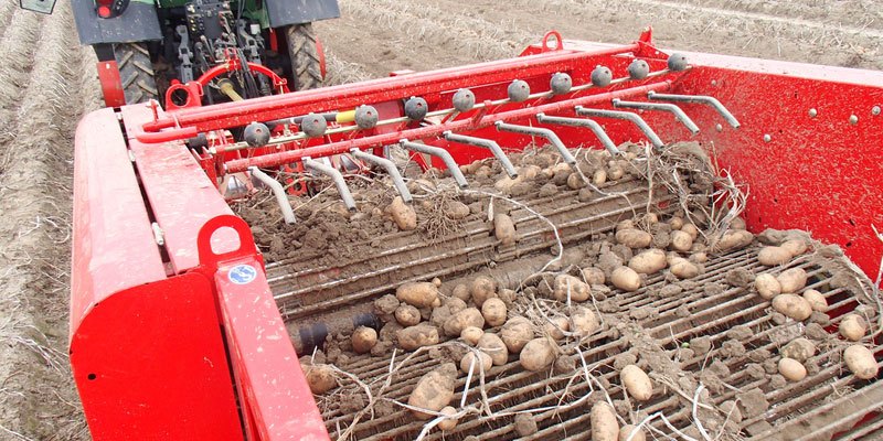Фото Картофелекопатель Grimme WR 200