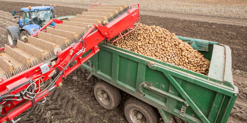 Фото VARITRON 220 Platinum TERRA TRAC