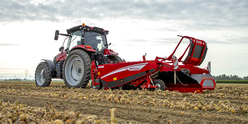 Фото Копатели-валкоукладчики лука Grimme WV