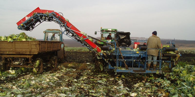 Фото Полунавесной капустоуборочный комбайн Asa-Lift TK