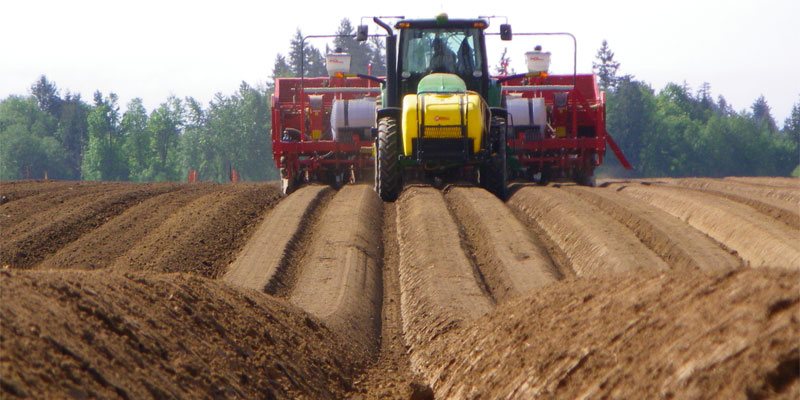 Фото Grimme GL 660