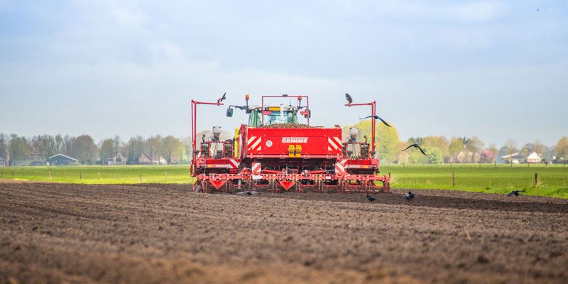 Фото Grimme GL 860 Compacta