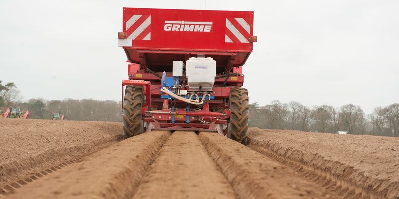 Фото Grimme GB 330