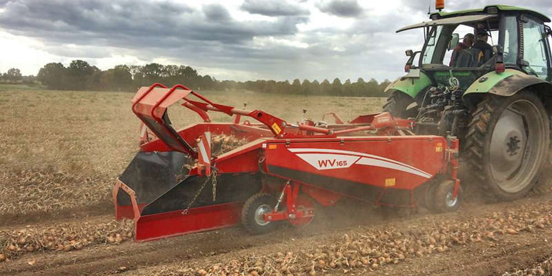 Фото Копатели-валкоукладчики лука Grimme WV