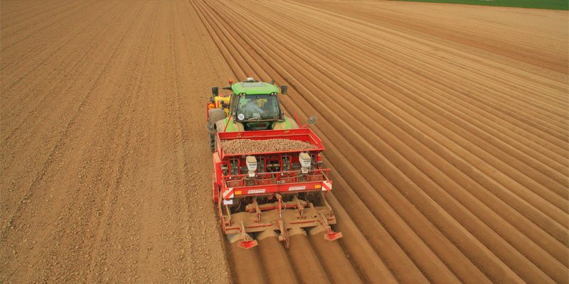 Фото Grimme GL 420 Exacta