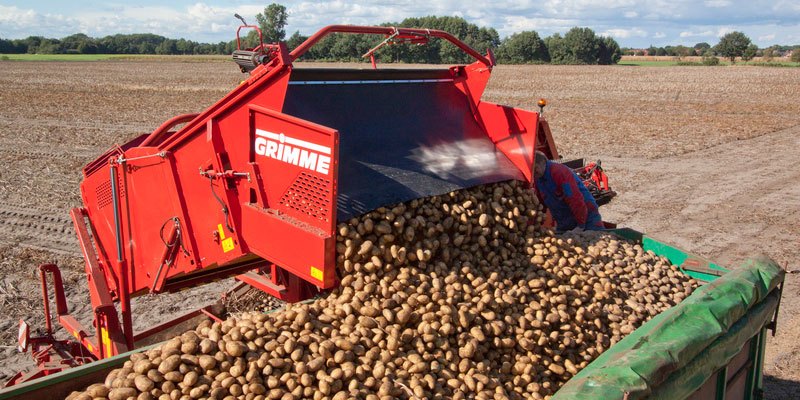 Фото Grimme SE 260