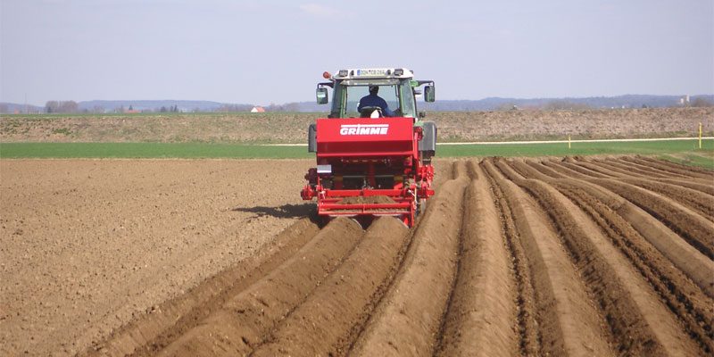 Фото Grimme GL 32 F