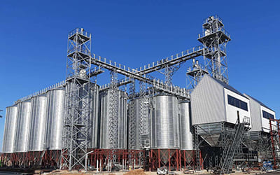 Семенные линии ЛПЗС