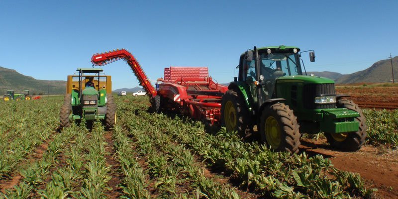 Фото Grimme GT 170