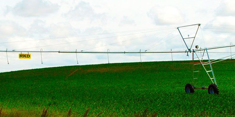 Фото Фронтальная RKD